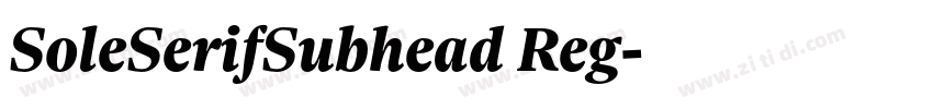 SoleSerifSubhead Reg字体转换